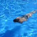 Enhance Your Home: Floor Repair & Pool Building in Alameda