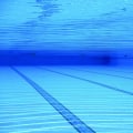 Transform Your Home with Expert Floor Repairs and Pool Designs